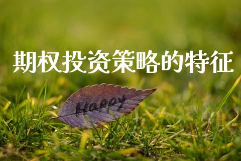 期权投资策略的特征_https://www.gongyisiwang.com_广发期货手续费_第1张