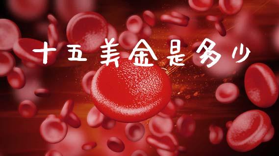 十五美金是多少_https://www.gongyisiwang.com_股指期货_第1张