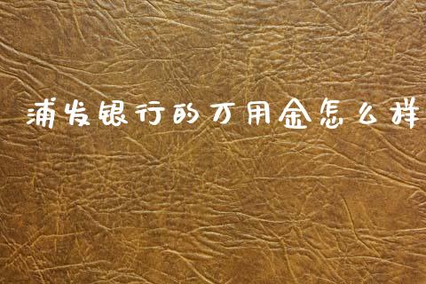 浦发银行的万用金怎么样_https://www.gongyisiwang.com_股指期货交易手续费_第1张