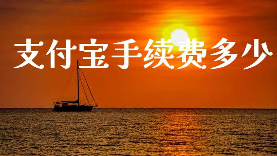 支付宝手续费多少_https://www.gongyisiwang.com_道指_第1张