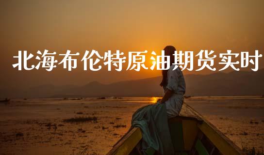 北海布伦特原油期货实时_https://www.gongyisiwang.com_道指_第1张