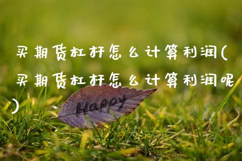 买期货杠杆怎么计算利润(买期货杠杆怎么计算利润呢)_https://www.gongyisiwang.com_广发期货手续费_第1张