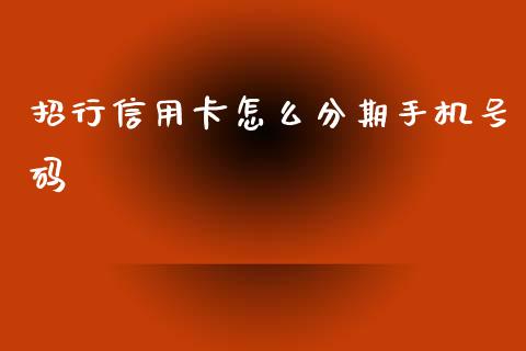 招行信用卡怎么分期手机号码_https://www.gongyisiwang.com_焦炭期货手续费_第1张