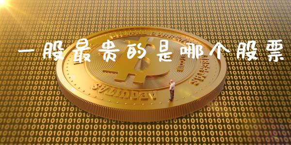 一股最贵的是哪个股票_https://www.gongyisiwang.com_期货公司手续费排名_第1张