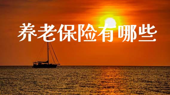 养老保险有哪些_https://www.gongyisiwang.com_期货公司手续费排名_第1张