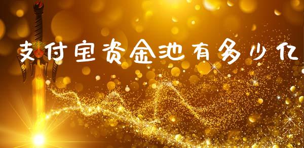支付宝资金池有多少亿_https://www.gongyisiwang.com_原油期货_第1张