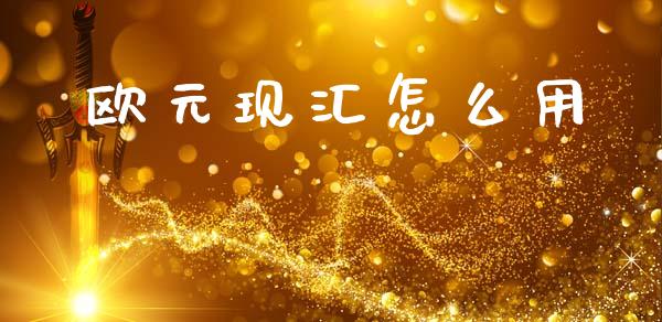 欧元现汇怎么用_https://www.gongyisiwang.com_期货公司手续费排名_第1张