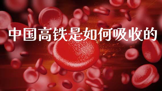 中国高铁是如何吸收的_https://www.gongyisiwang.com_股指期货交易手续费_第1张
