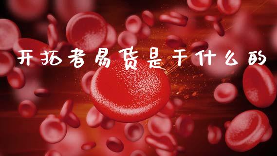 开拓者易货是干什么的_https://www.gongyisiwang.com_股指期货_第1张