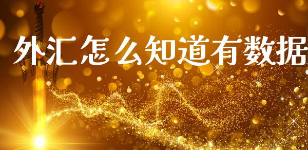 外汇怎么知道有数据_https://www.gongyisiwang.com_股指期货交易手续费_第1张