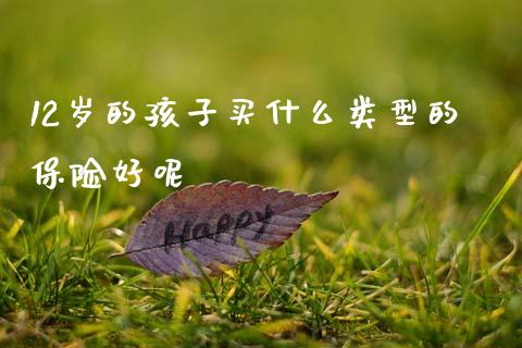 12岁的孩子买什么类型的保险好呢_https://www.gongyisiwang.com_股指期货交易手续费_第1张