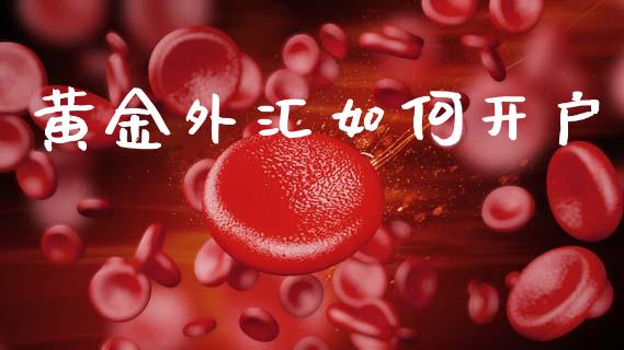 黄金外汇如何开户_https://www.gongyisiwang.com_原油期货_第1张