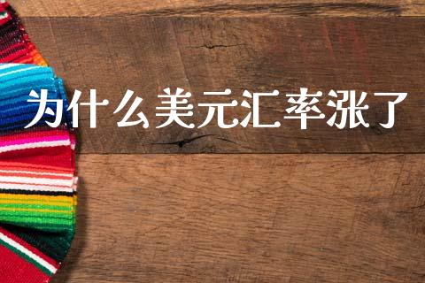 为什么美元汇率涨了_https://www.gongyisiwang.com_恒指期货_第1张