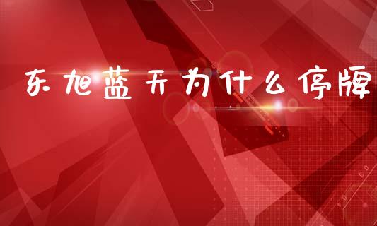 东旭蓝天为什么停牌_https://www.gongyisiwang.com_股指期货交易手续费_第1张