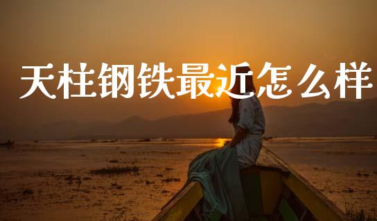天柱钢铁最近怎么样_https://www.gongyisiwang.com_期货公司手续费排名_第1张
