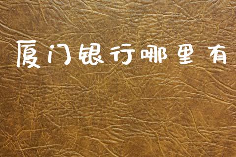 厦门银行哪里有_https://www.gongyisiwang.com_恒指期货_第1张