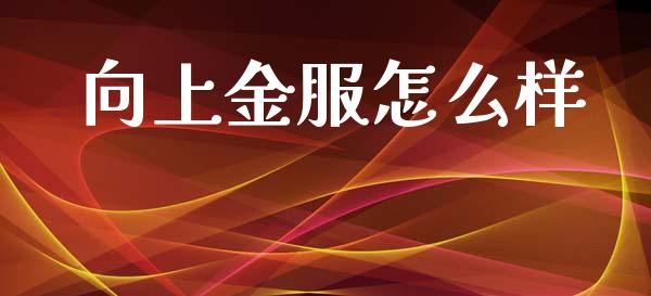 向上金服怎么样_https://www.gongyisiwang.com_股指期货交易手续费_第1张
