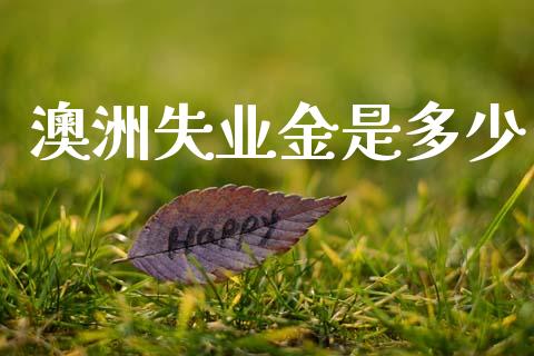 澳洲失业金是多少_https://www.gongyisiwang.com_焦炭期货手续费_第1张