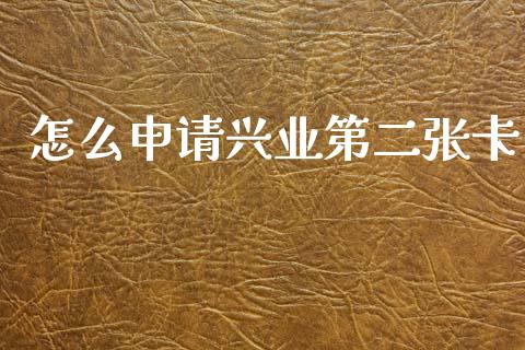 怎么申请兴业第二张卡_https://www.gongyisiwang.com_焦炭期货手续费_第1张