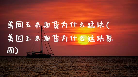 美国玉米期货为什么猛跌(美国玉米期货为什么猛跌原因)_https://www.gongyisiwang.com_焦炭期货手续费_第1张