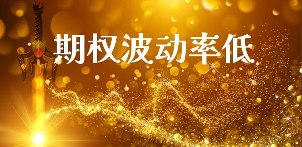 期权波动率低_https://www.gongyisiwang.com_道指_第1张