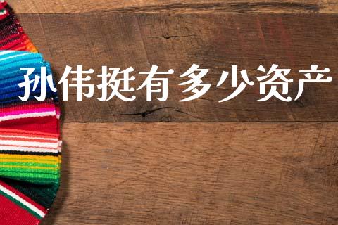 孙伟挺有多少资产_https://www.gongyisiwang.com_恒指期货_第1张