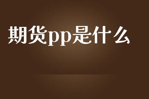 期货pp是什么_https://www.gongyisiwang.com_期货公司手续费排名_第1张