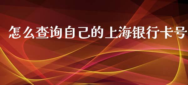怎么查询自己的上海银行卡号_https://www.gongyisiwang.com_恒指期货_第1张
