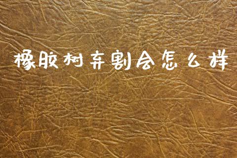 橡胶树弃割会怎么样_https://www.gongyisiwang.com_道指_第1张