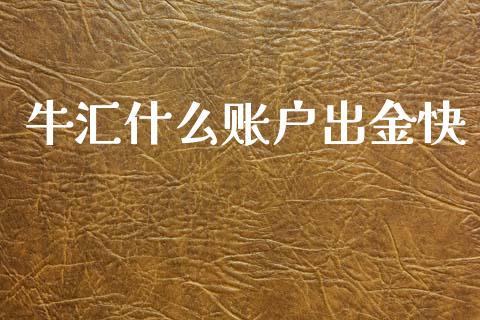 牛汇什么账户出金快_https://www.gongyisiwang.com_广发期货手续费_第1张