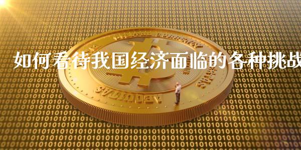 如何看待我国经济面临的各种挑战_https://www.gongyisiwang.com_原油期货_第1张