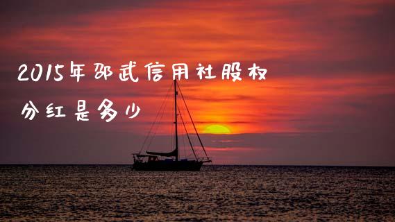 2015年邵武信用社股权分红是多少_https://www.gongyisiwang.com_股指期货_第1张