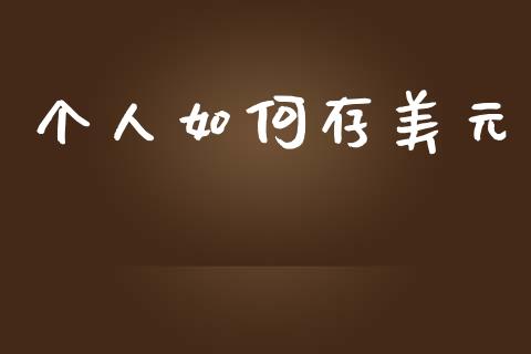 个人如何存美元_https://www.gongyisiwang.com_广发期货手续费_第1张