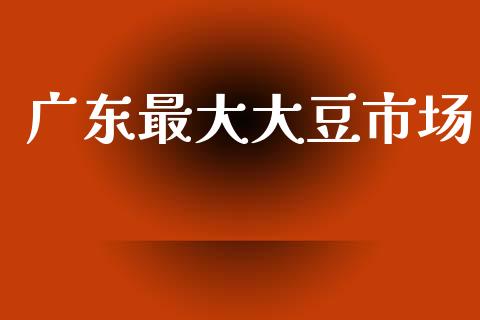 广东最大大豆市场_https://www.gongyisiwang.com_期货公司手续费排名_第1张