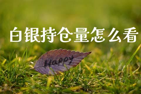 白银持仓量怎么看_https://www.gongyisiwang.com_股指期货交易手续费_第1张