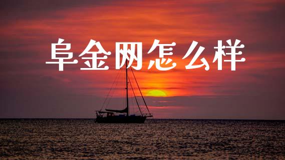 阜金网怎么样_https://www.gongyisiwang.com_股指期货_第1张