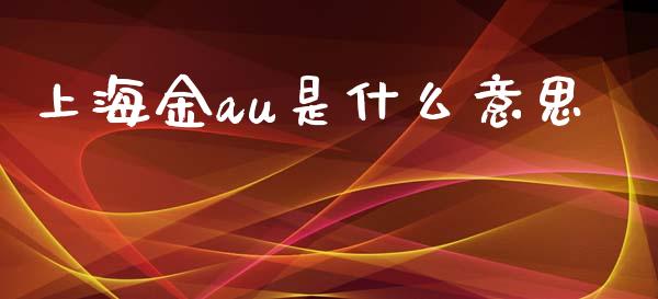 上海金au是什么意思_https://www.gongyisiwang.com_股指期货交易手续费_第1张
