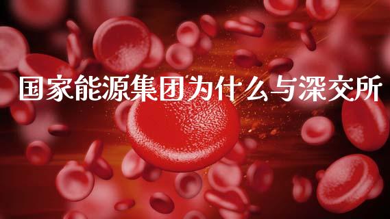 国家能源集团为什么与深交所_https://www.gongyisiwang.com_股指期货交易手续费_第1张