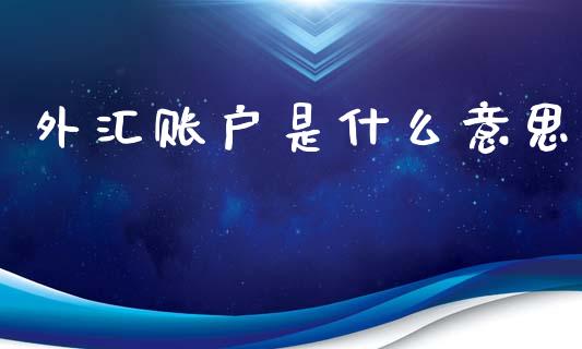 外汇账户是什么意思_https://www.gongyisiwang.com_股指期货_第1张