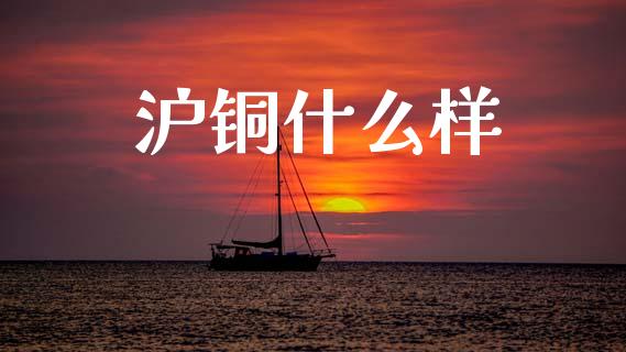 沪铜什么样_https://www.gongyisiwang.com_广发期货手续费_第1张