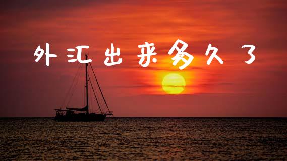 外汇出来多久了_https://www.gongyisiwang.com_恒指期货_第1张