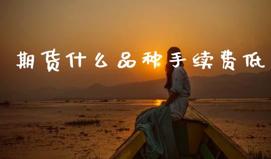 期货什么品种手续费低_https://www.gongyisiwang.com_原油期货_第1张