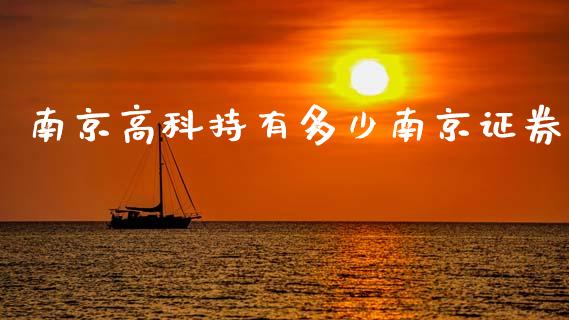 南京高科持有多少南京证券_https://www.gongyisiwang.com_焦炭期货手续费_第1张