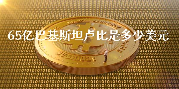 65亿巴基斯坦卢比是多少美元_https://www.gongyisiwang.com_焦炭期货手续费_第1张