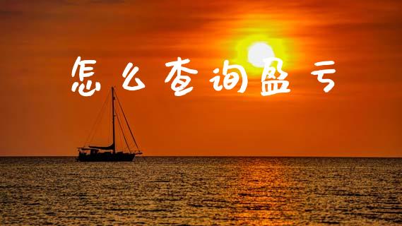 怎么查询盈亏_https://www.gongyisiwang.com_道指_第1张