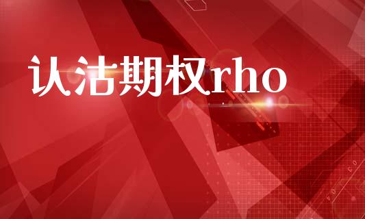 认沽期权rho_https://www.gongyisiwang.com_焦炭期货手续费_第1张