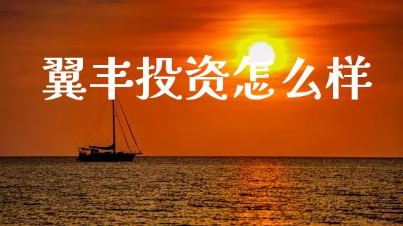 翼丰投资怎么样_https://www.gongyisiwang.com_原油期货_第1张
