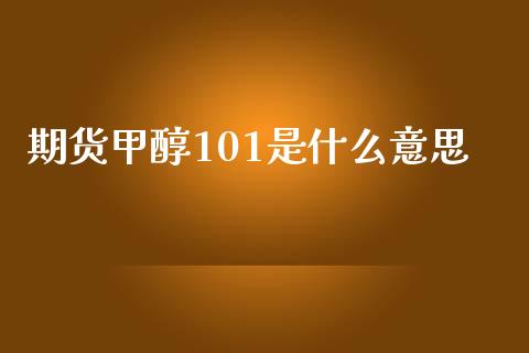 期货甲醇101是什么意思_https://www.gongyisiwang.com_股指期货交易手续费_第1张