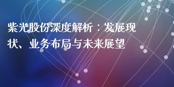 紫光股份深度解析：发展现状、业务布局与未来展望_https://www.gongyisiwang.com_焦炭期货手续费_第1张