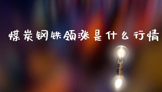 煤炭钢铁领涨是什么行情_https://www.gongyisiwang.com_期货公司手续费排名_第1张